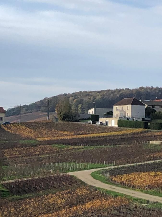Floressens En Champagne Terrasse Privative Sur Le Vignoble Villa Fleury-la-Riviere Exterior photo