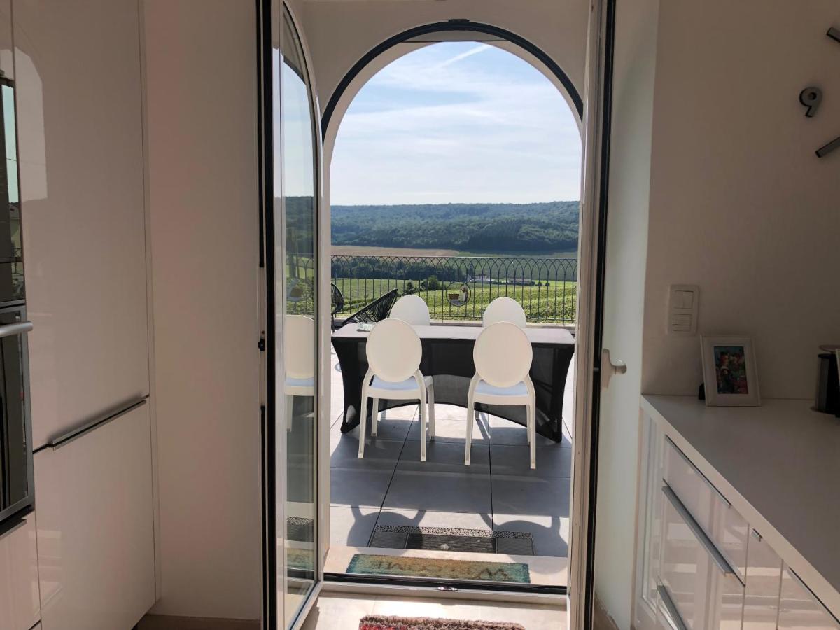 Floressens En Champagne Terrasse Privative Sur Le Vignoble Villa Fleury-la-Riviere Exterior photo