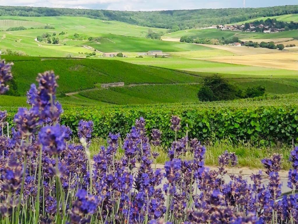 Floressens En Champagne Terrasse Privative Sur Le Vignoble Villa Fleury-la-Riviere Exterior photo
