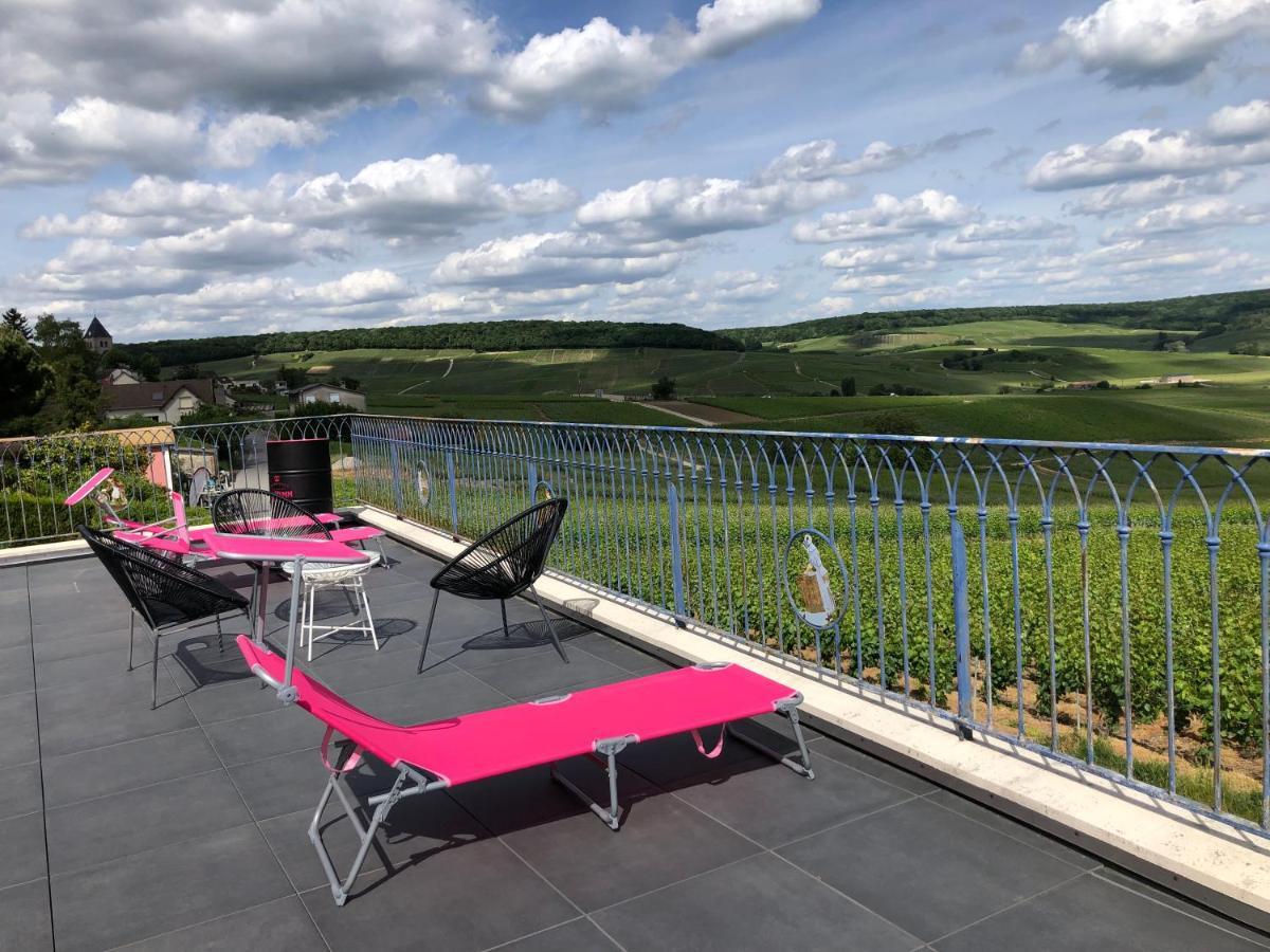 Floressens En Champagne Terrasse Privative Sur Le Vignoble Villa Fleury-la-Riviere Exterior photo