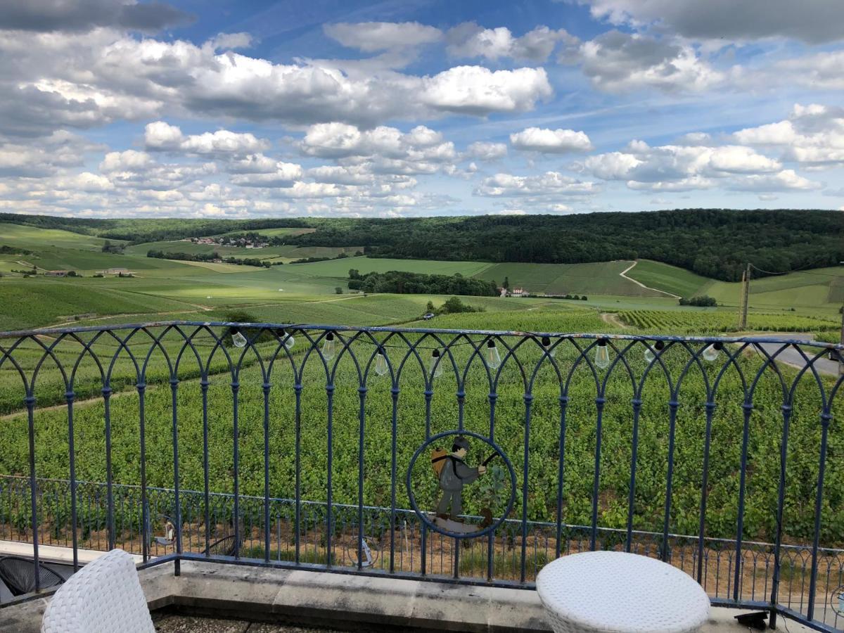 Floressens En Champagne Terrasse Privative Sur Le Vignoble Villa Fleury-la-Riviere Exterior photo